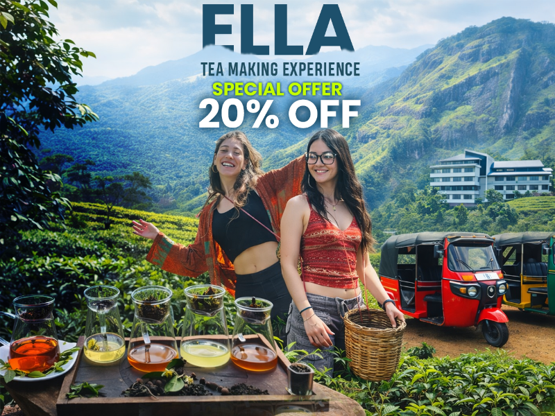 Ella: Tea-Making Experience, Tasting, Snacks with Tuk-Tuk