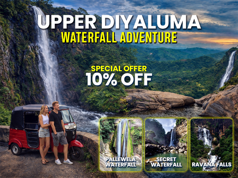Ella Upper Diyaluma Scenic Infinity Pools & Mountain Picnic