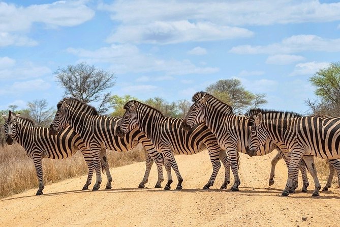 4-Day Kruger National Park Tour