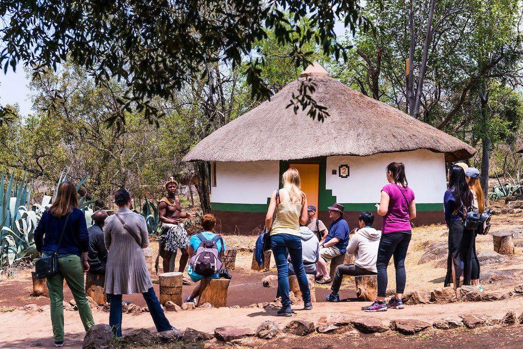 Lesedi Cultural Village and Lion Mini Safari