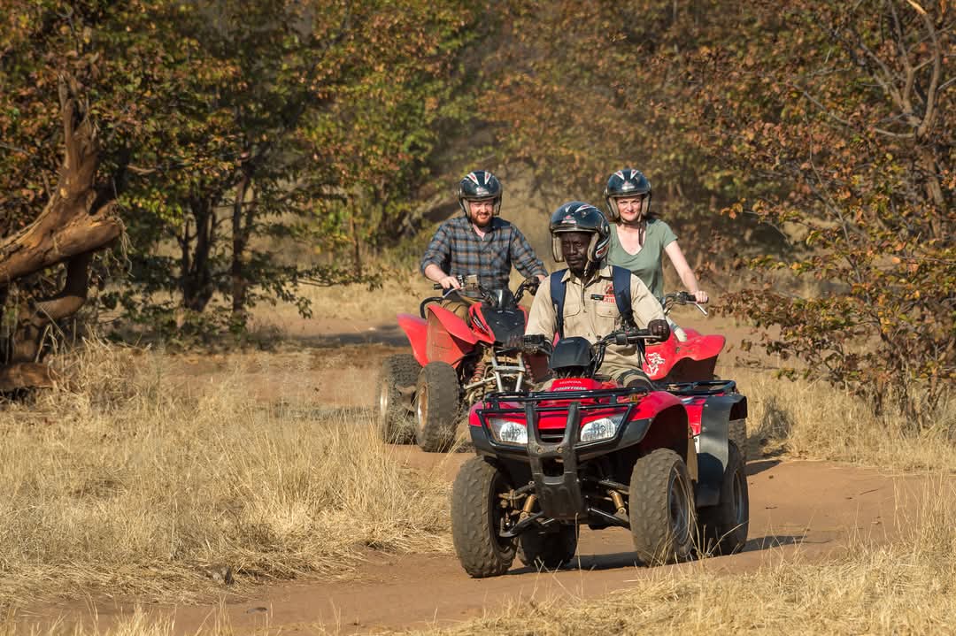 2 DAY PILANESBERG SAFARI IN 3 STAR LODGE