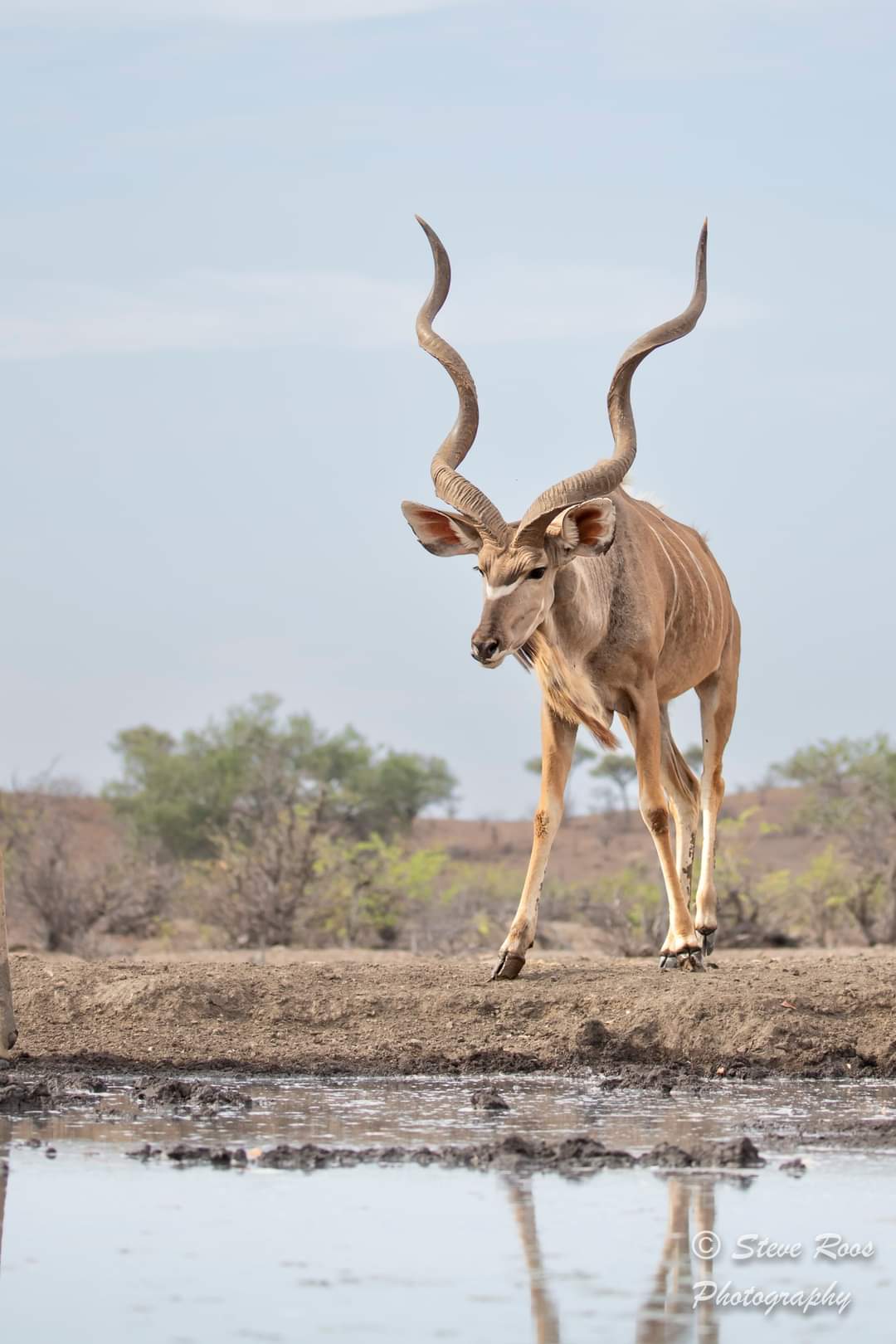 PILANESBERG AND SUN CITY TOUR