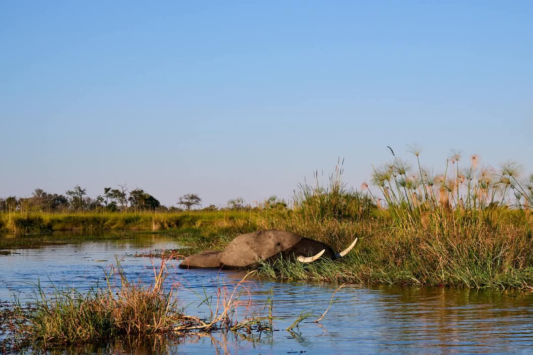 3 DAY KRUGER NATIONAL PARK TOUR