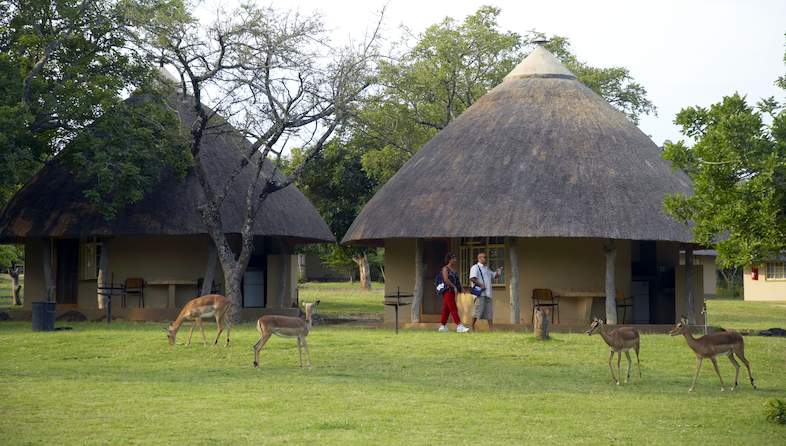 SAFARI GAME DRIVE: DINOKENG GAME RESERVE