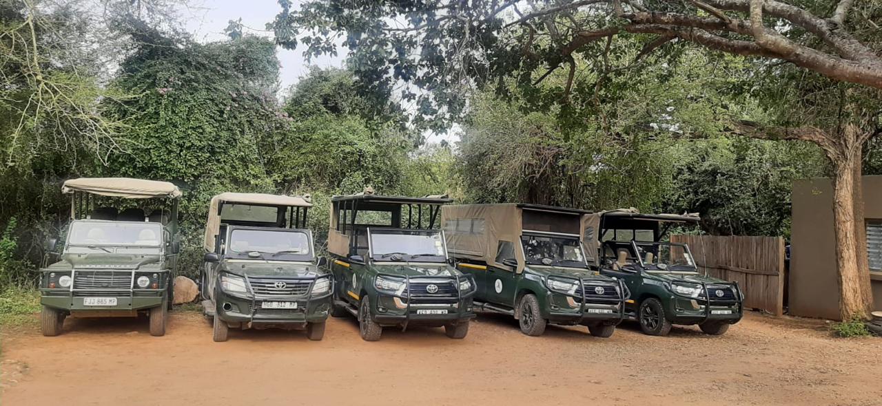 Full Day Pilanesberg Experience in Open Vehicle