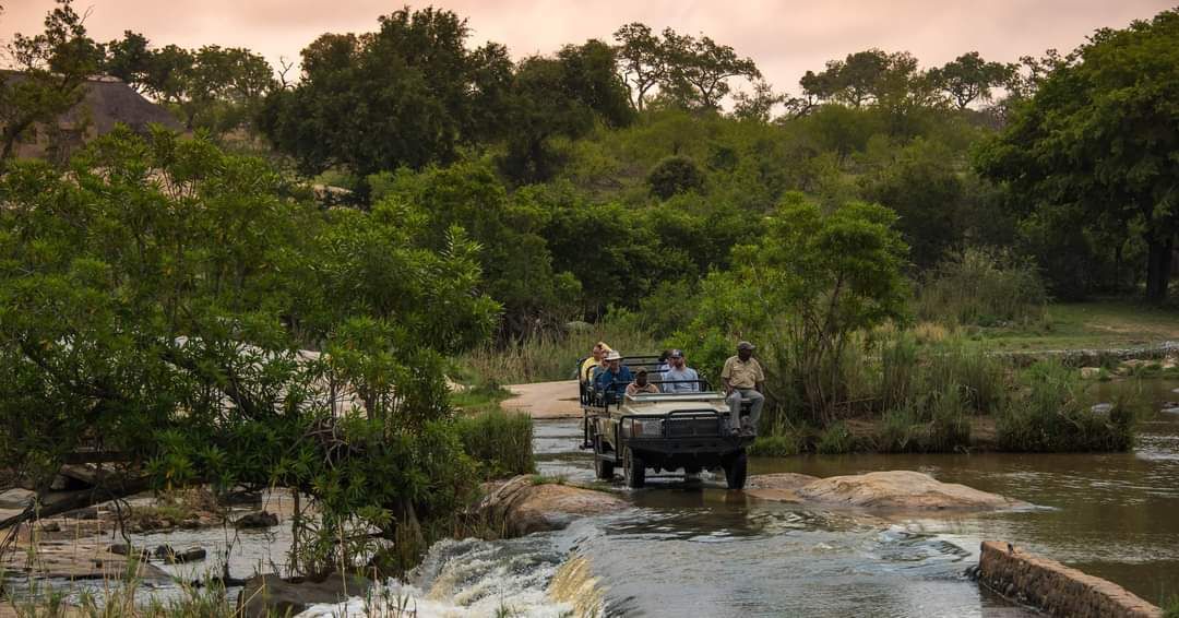 Full Day Safari Tour of Pilanesberg National Park, Open Jeep experienc