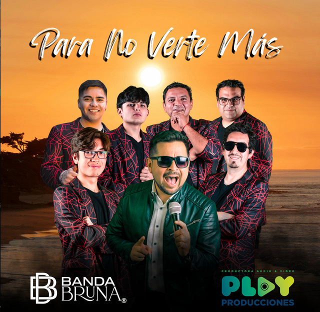 Portada de Para no verte más