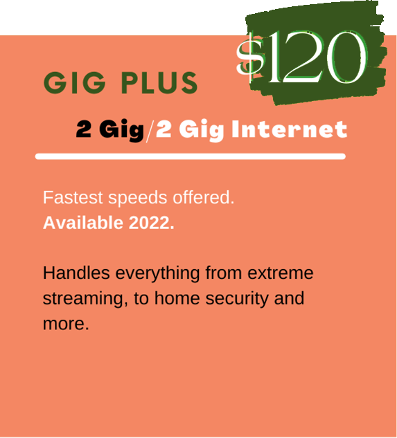 Service Options