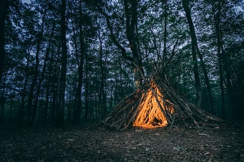 The Practice of the Wild