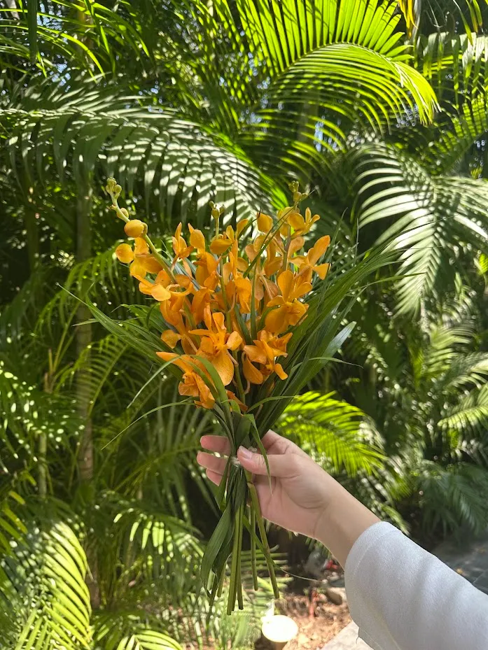 The Graceful Welcome Package 2