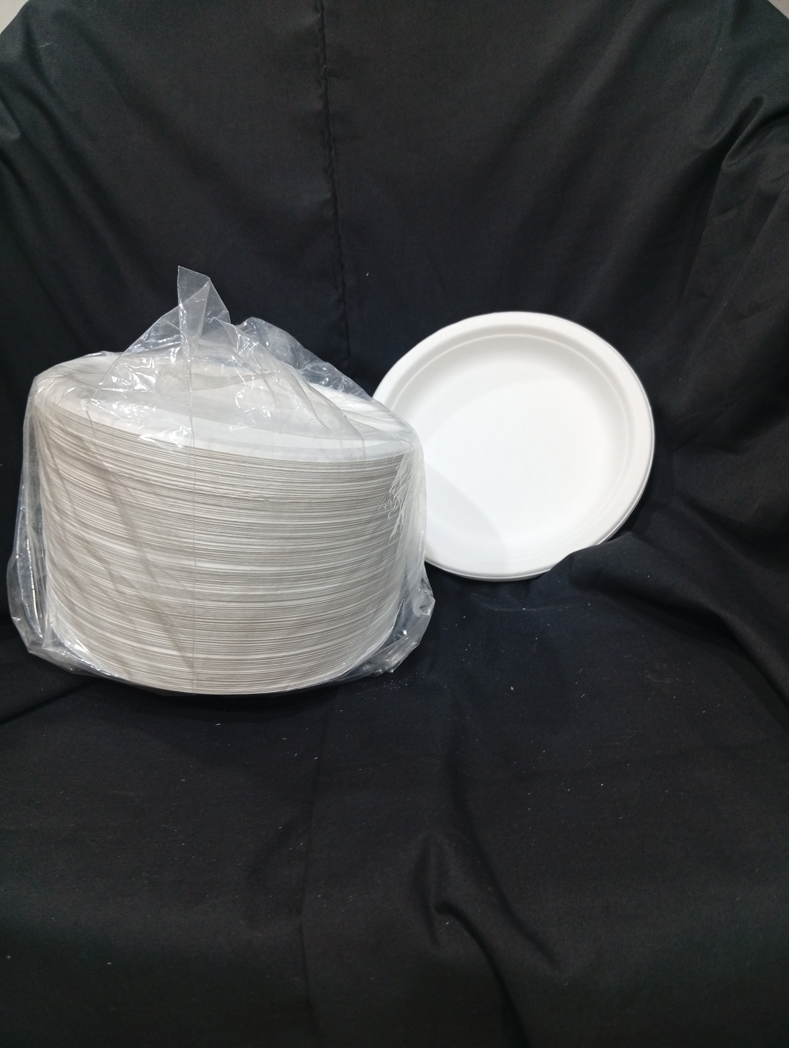 Df Bio Degredable 7 Inch Plate