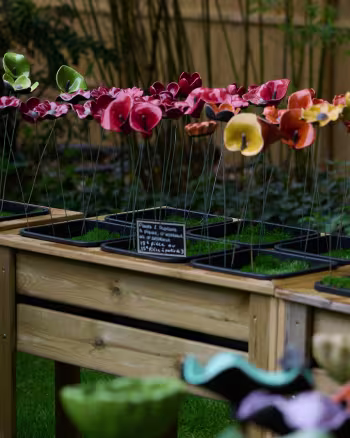 Jardins Jardin 2025