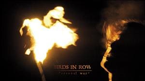 Birds in Row