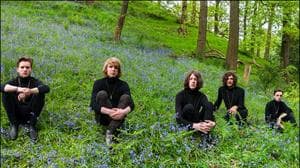 Blossoms