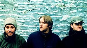 Doves