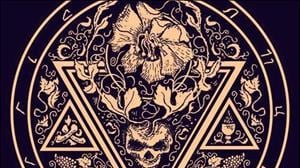 Helleborus