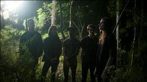 Invent Animate