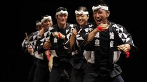 Kodo