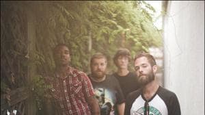 Lionize