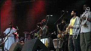 Misty in Roots