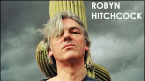 Robyn Hitchcock