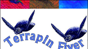 Terrapin Flyer