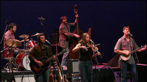 The Mammals