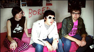 The Pink Spiders