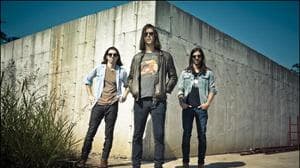 The Whigs
