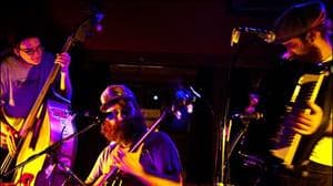 The Whistle Pigs