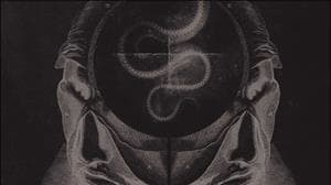 Ulcerate