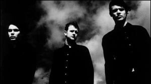 White Lies