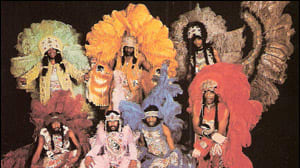 Wild Magnolias