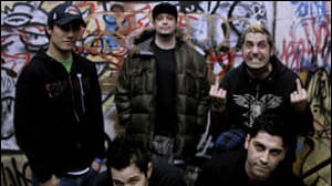 Zebrahead