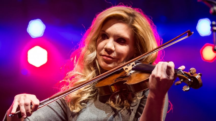 Alison Krauss