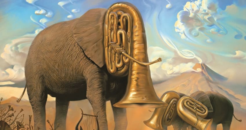 Lettuce Crush Cover Crop