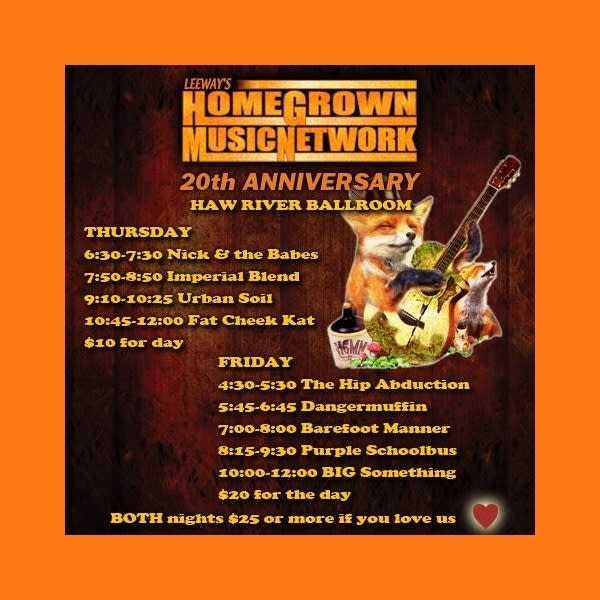 Home Grown Music Network 20th Anniversary Festival Makeup Concert Poster