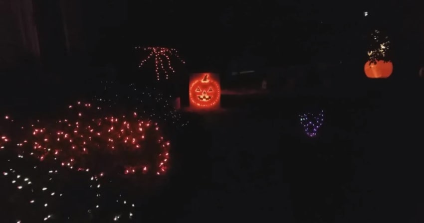 Phish Your Pet Cat Light Show
