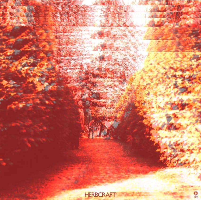 Wot Oz Album Cover