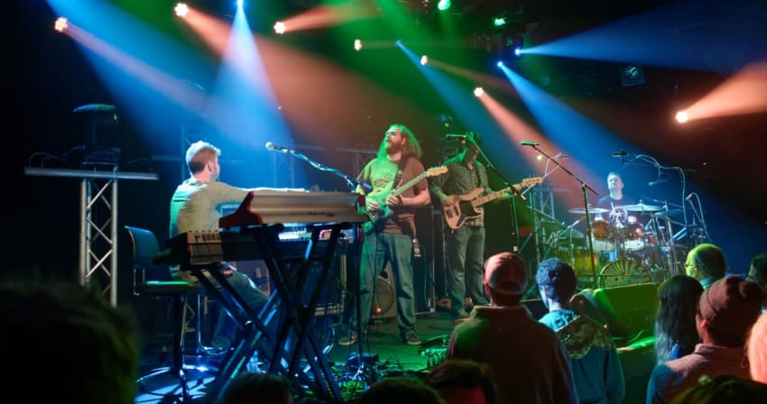 The Werks Stone Crop