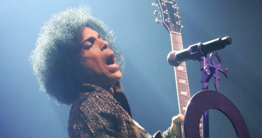 Prince Press Live Chelsea Lauren Crop 2