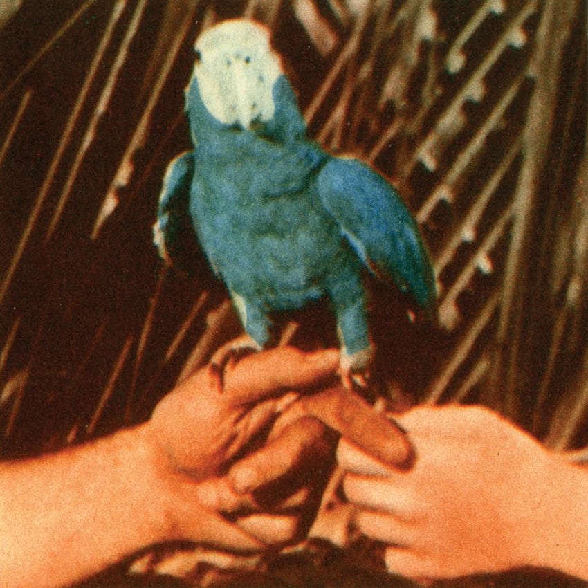 Andrew Bird Are You Serious Cover