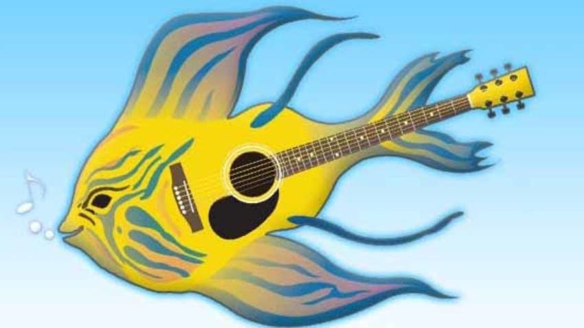 Guitarfish