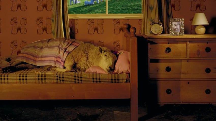 Dreaming Of Sleep Spotify Playlist