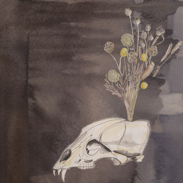 RecommNeds | Steve Gunn & Julian Lage