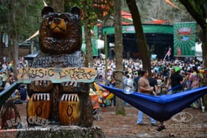 Review And Media | Bear Creek Music Festival | Florida