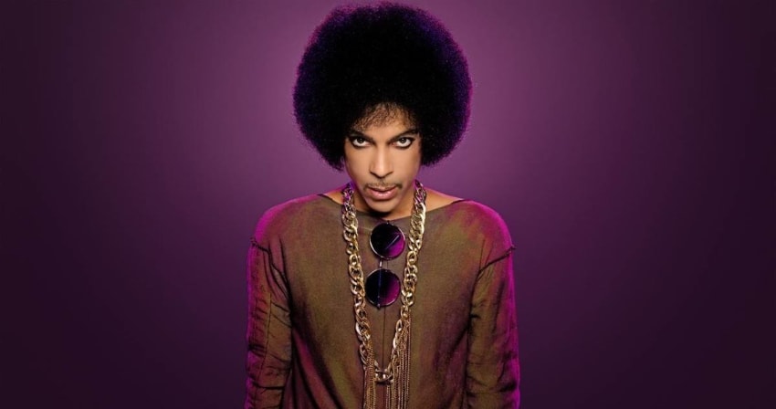 Prince SNL Crop