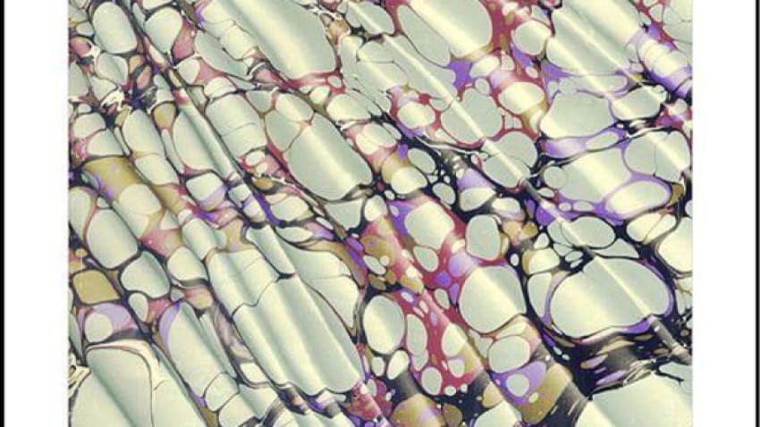 RecommNeds | Swim Mountain, Magic Castles and Schnauser