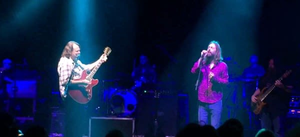 Videos | Hard Working Widespread Panic Brotherhood