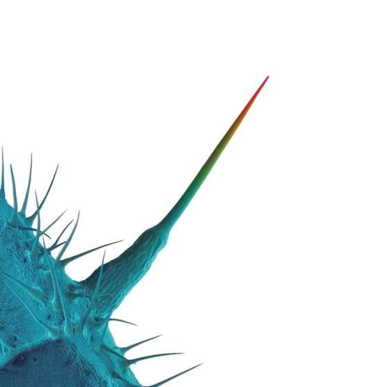 Peter Gabriel Tribute Album | Bon Iver
